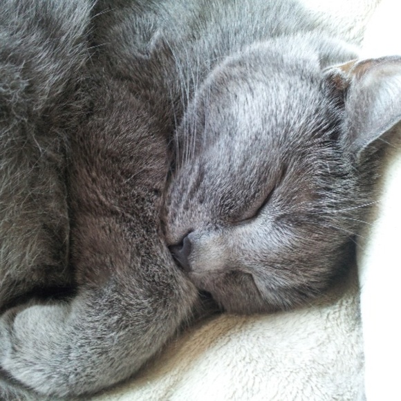 MEET YOUR POSHER, Tatiana ππ π»πΆπ - Picture 3 of 15